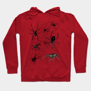 Creepy Spiders Hoodie